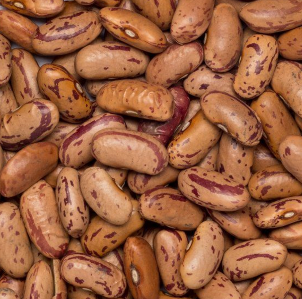 Pinto Beans (Organic)