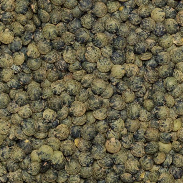 French Green Lentils (Organic)