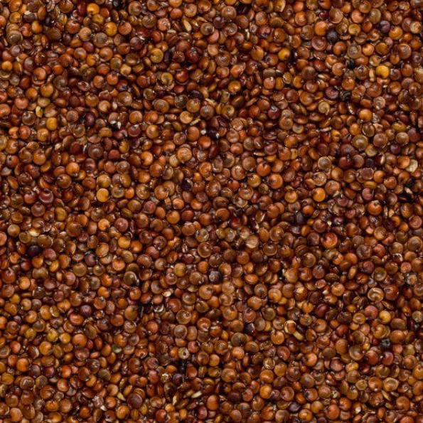 Red Quinoa (Organic)