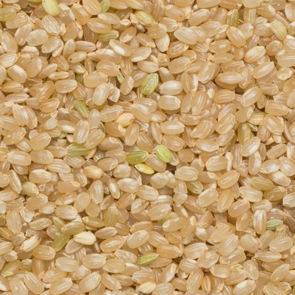 Short Grain Brown Rice (Organic)