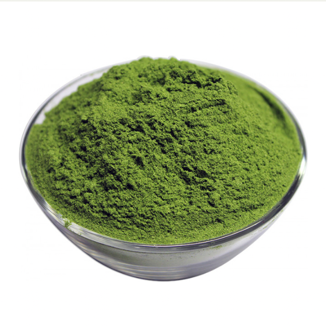 Wheat Grass Powder (Organic)