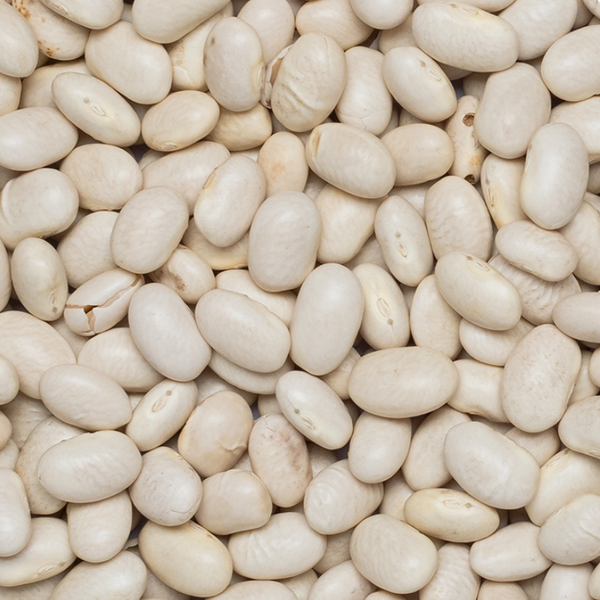 Haricot Beans (Organic)