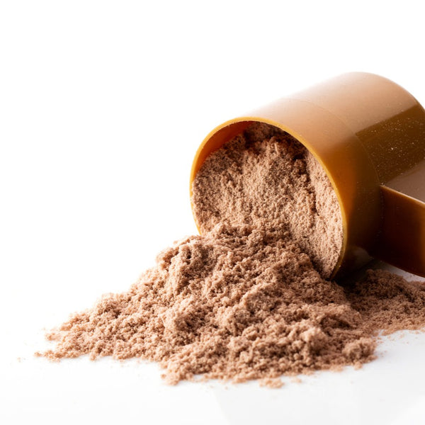 Chocolate Hazelnut Protein Powder