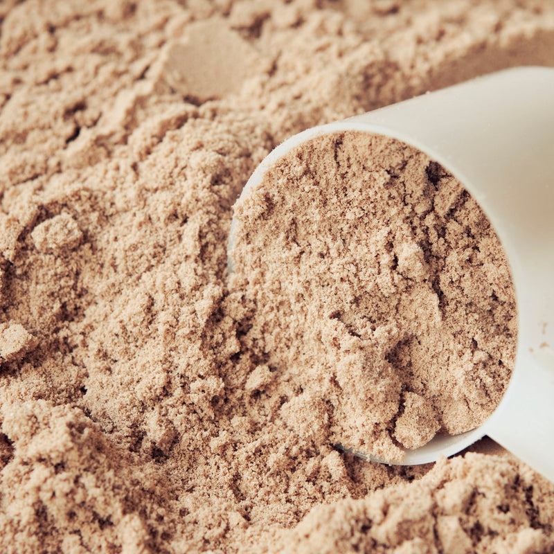 Chocolate Peanut Protein Powder