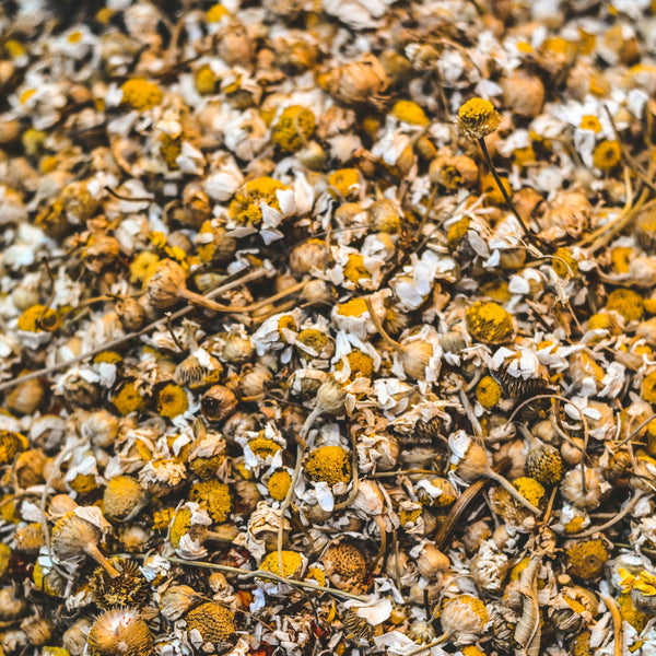 Chamomile Flowers Tea