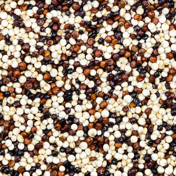 Tricolour  Quinoa (Organic)