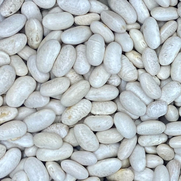 Bulk cannellini beans